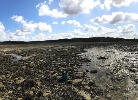 Au Coeur Du Senechal