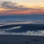 Au Coeur Du Senechal