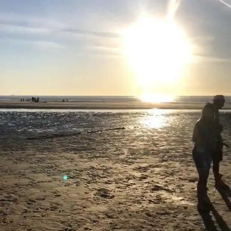 Au Cœur Du Sénéchal Marquise