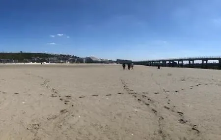 Au Cœur Du Sénéchal