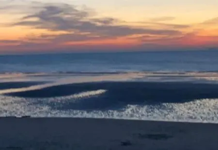 Au Cœur Du Sénéchal